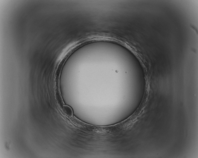 X0000100370199200806060810