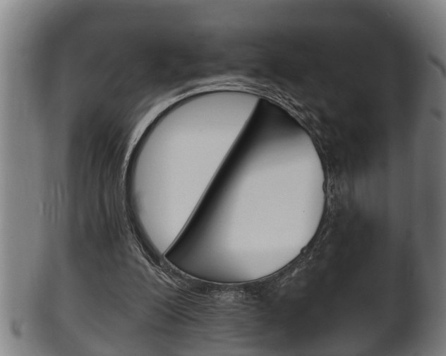X0000100370200200806060810