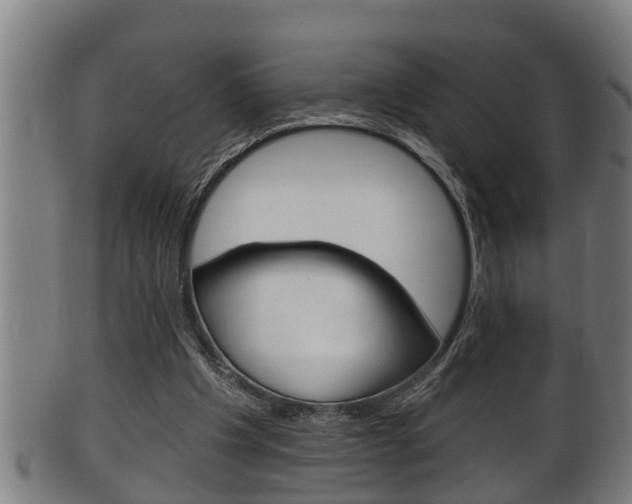 X0000100370201200806060810