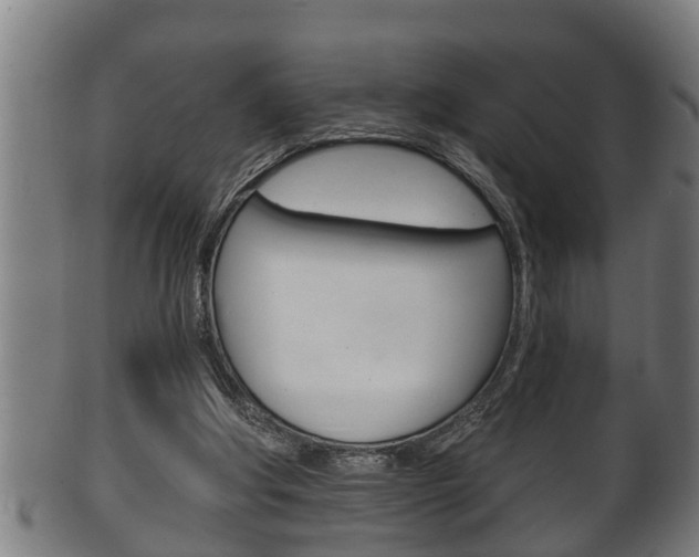 X0000100370202200806060810