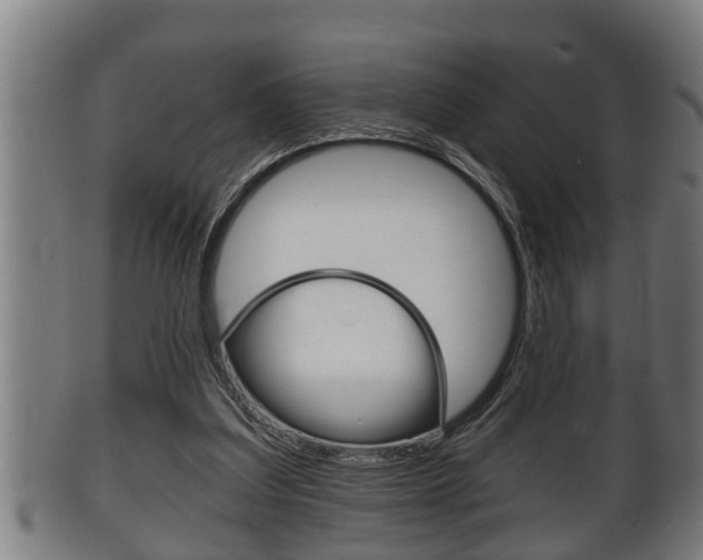 X0000100370203200806060810