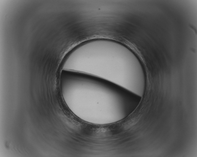 X0000100370204200806060810