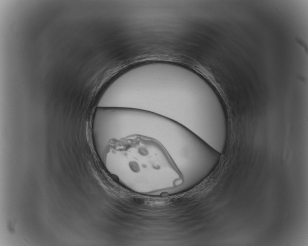 X0000100370205200806060810