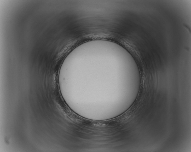 X0000100370206200806060810
