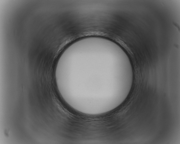 X0000100370207200806060810
