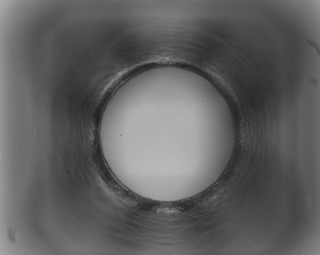 X0000100370208200806060810