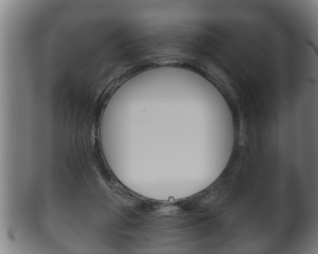 X0000100370210200806060810