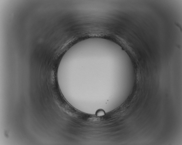 X0000100370211200806060810
