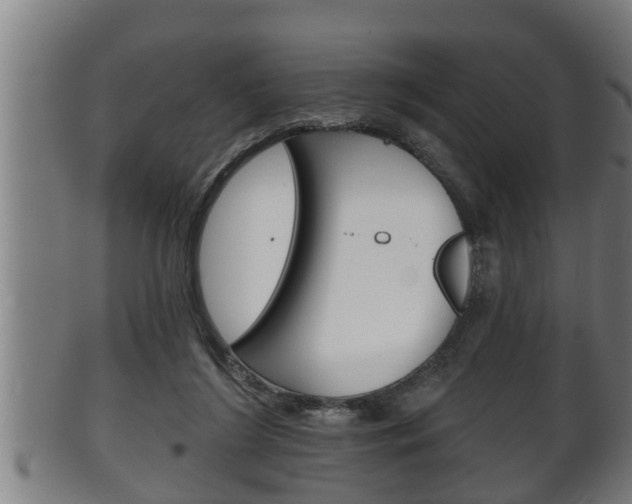 X0000100370212200806060810