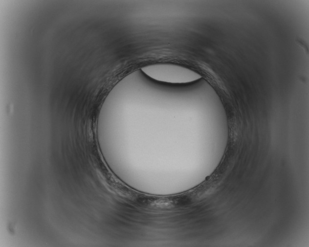 X0000100370213200806060810