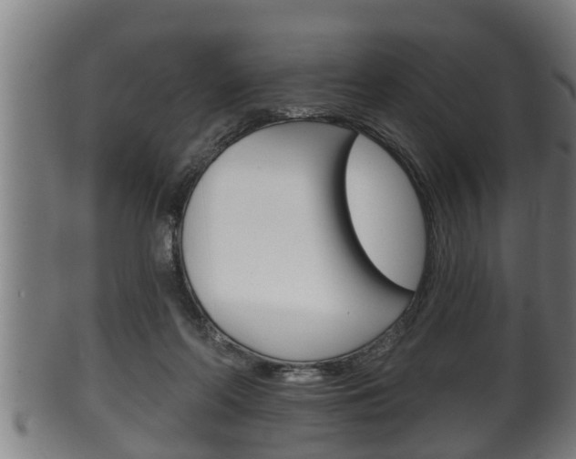 X0000100370214200806060810