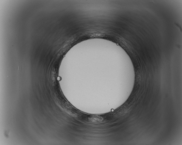 X0000100370215200806060810
