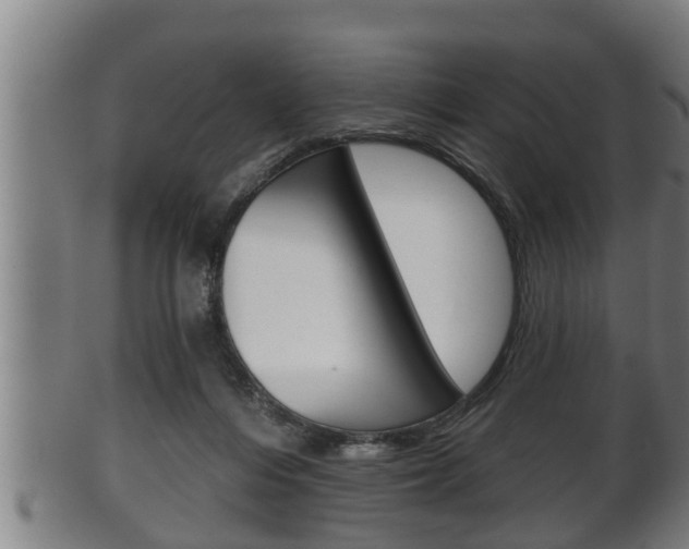 X0000100370216200806060810