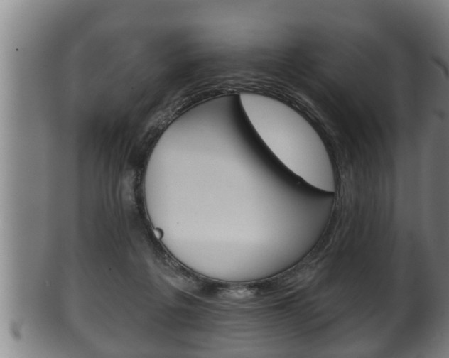 X0000100370217200806060810