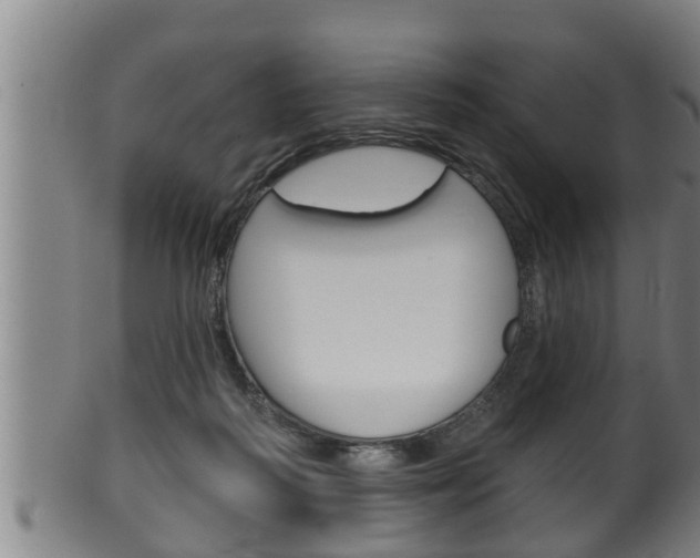 X0000100370218200806060810