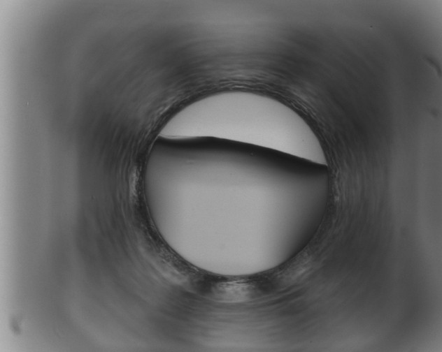 X0000100370219200806060810