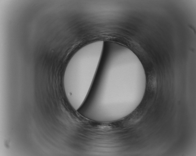 X0000100370220200806060810