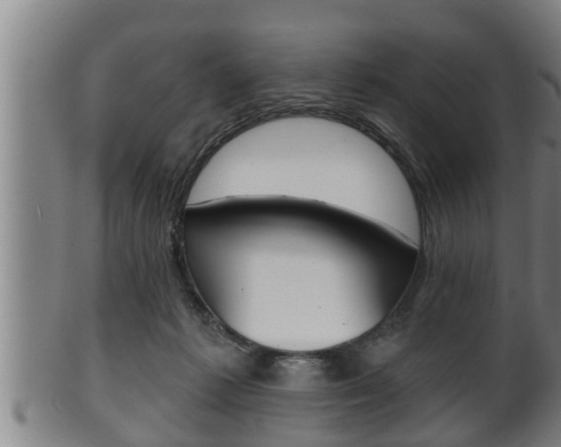 X0000100370221200806060810