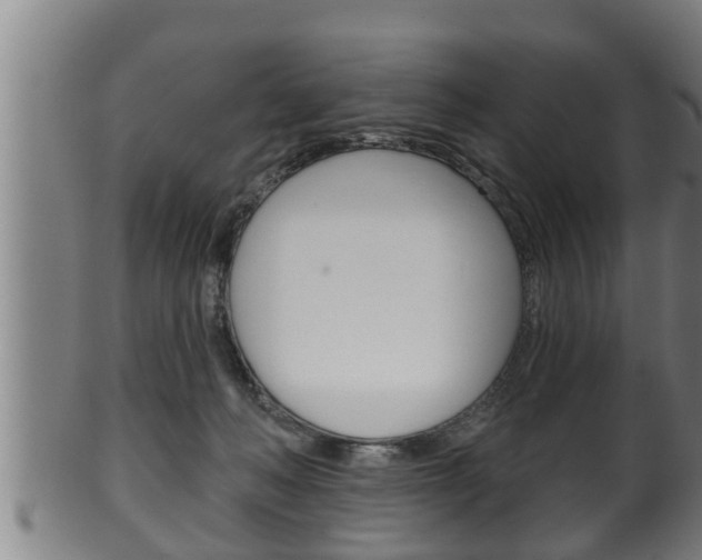 X0000100370222200806060810