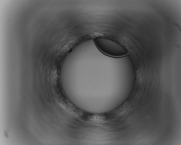 X0000100370223200806060810