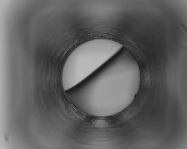 X0000100370224200806060810