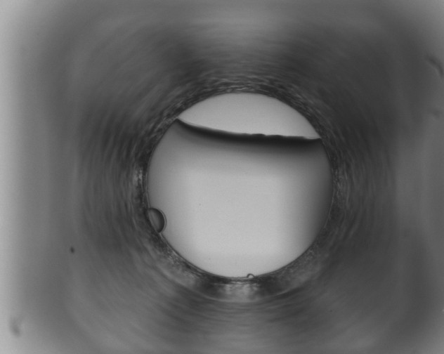 X0000100370225200806060810
