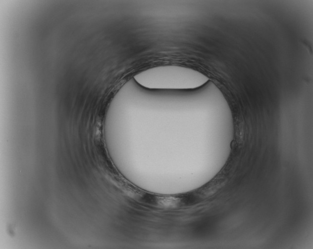 X0000100370226200806060810
