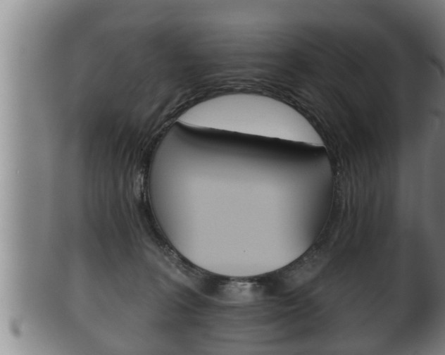 X0000100370227200806060810