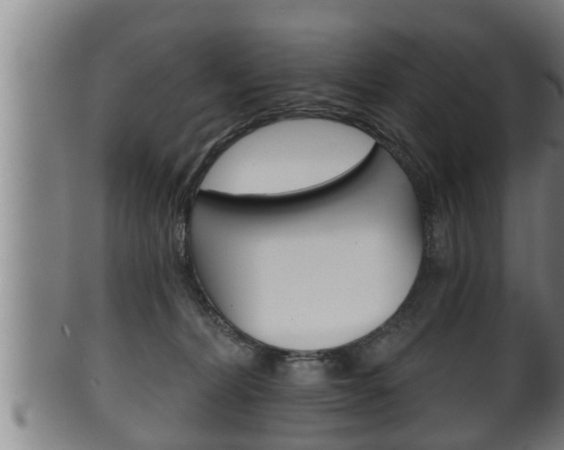 X0000100370228200806060810