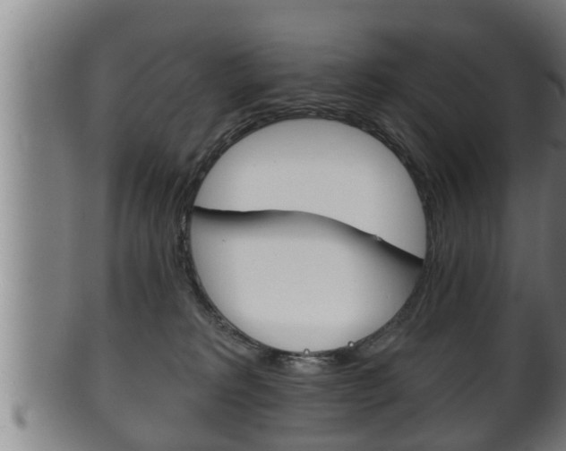 X0000100370229200806060810