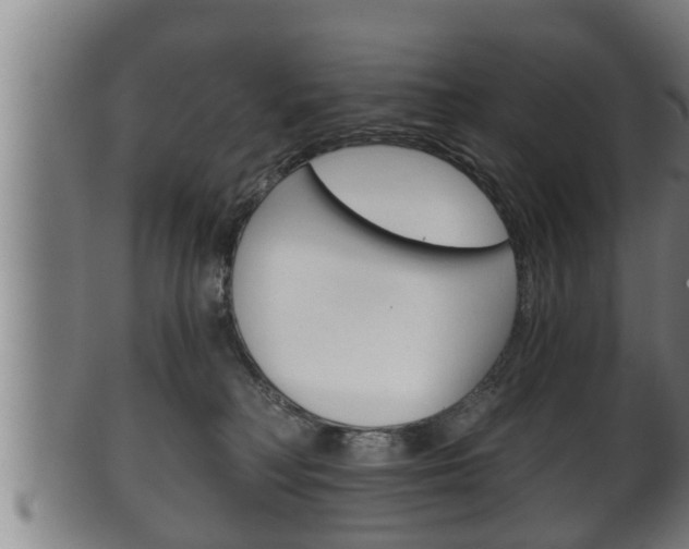 X0000100370230200806060810