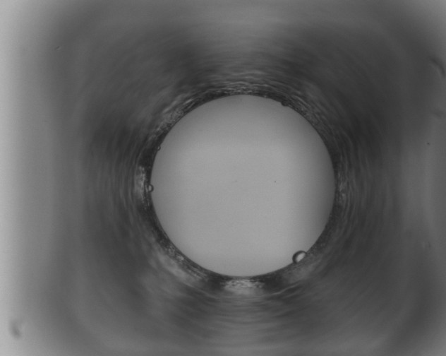 X0000100370231200806060810