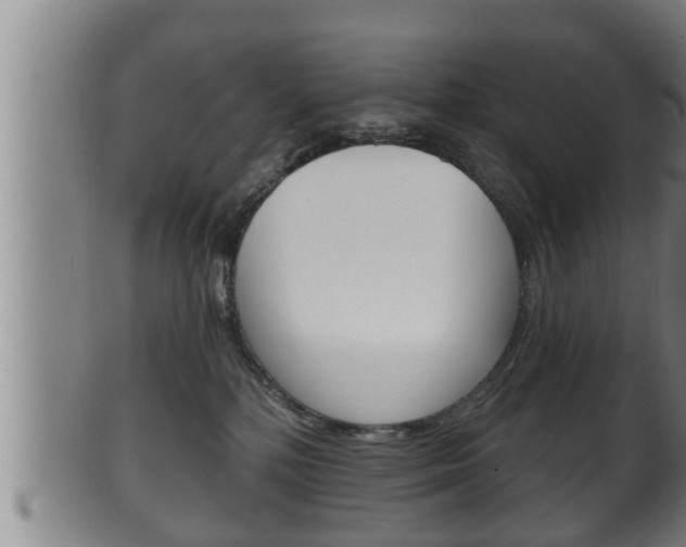 X0000100370232200806060810