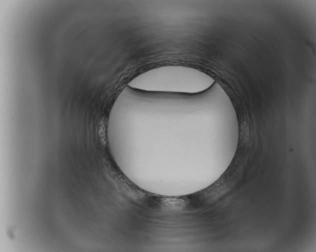 X0000100370234200806060809