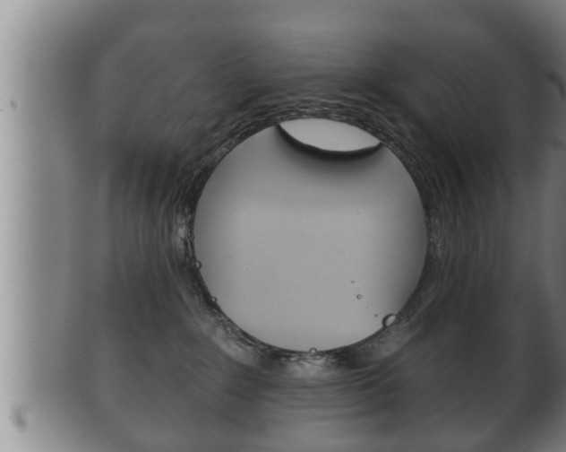 X0000100370235200806060809