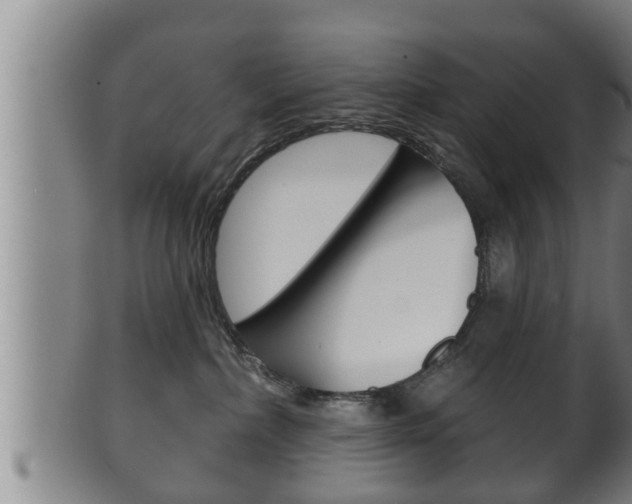 X0000100370236200806060809