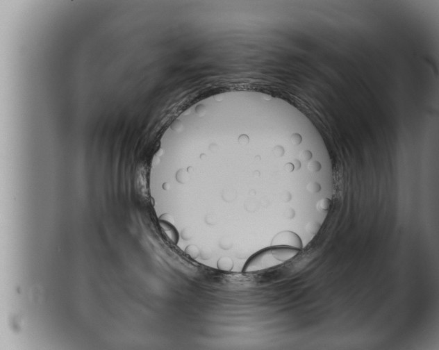 X0000100370238200806060809
