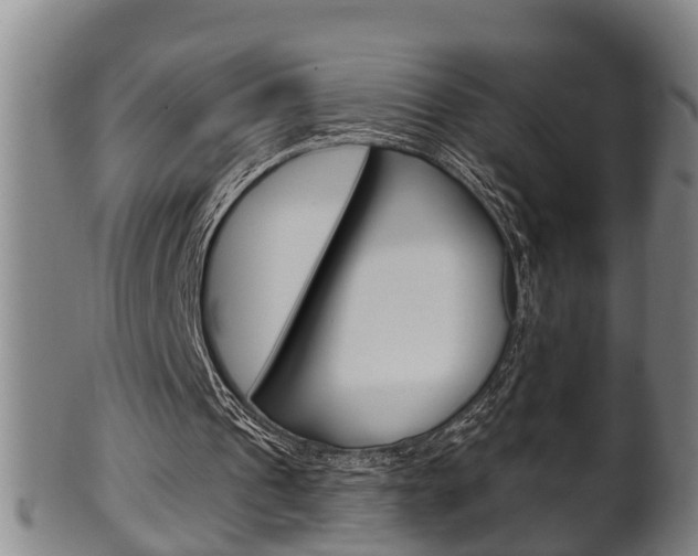 X0000100370241200806060809