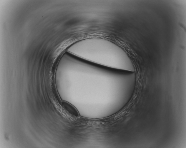 X0000100370242200806060809