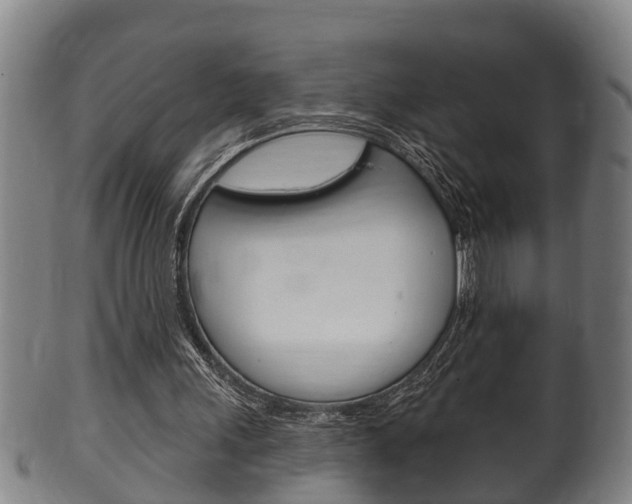X0000100370243200806060809