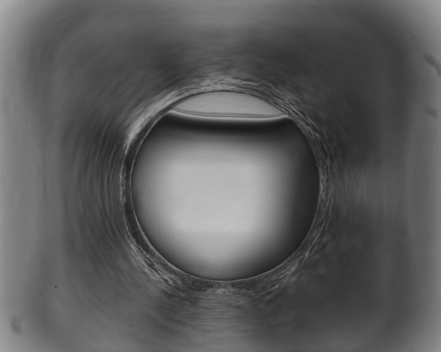 X0000100370244200806060809