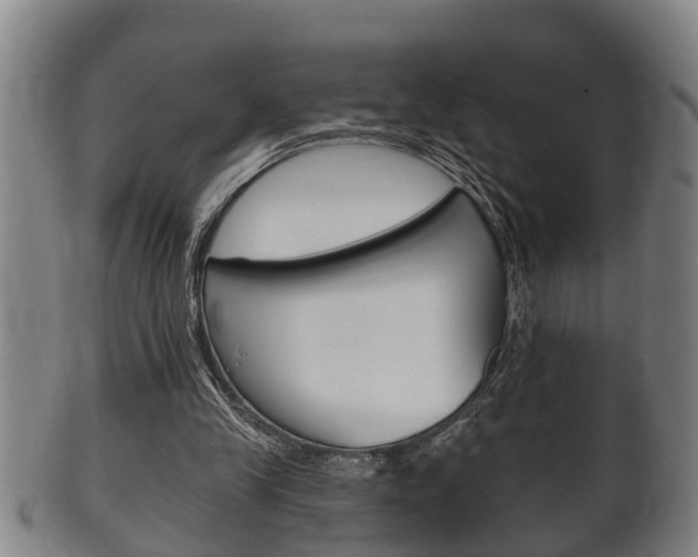 X0000100370245200806060809