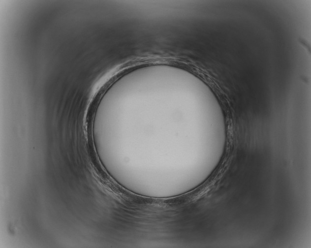 X0000100370246200806060809