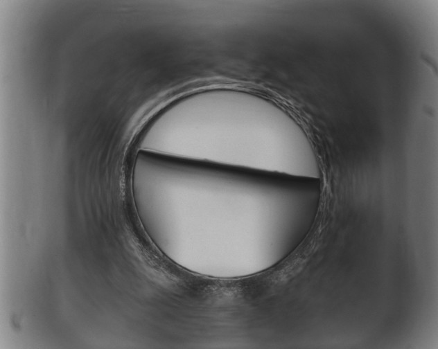 X0000100370247200806060809