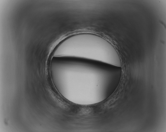X0000100370248200806060809