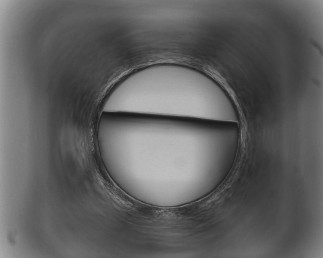 X0000100370249200806060809