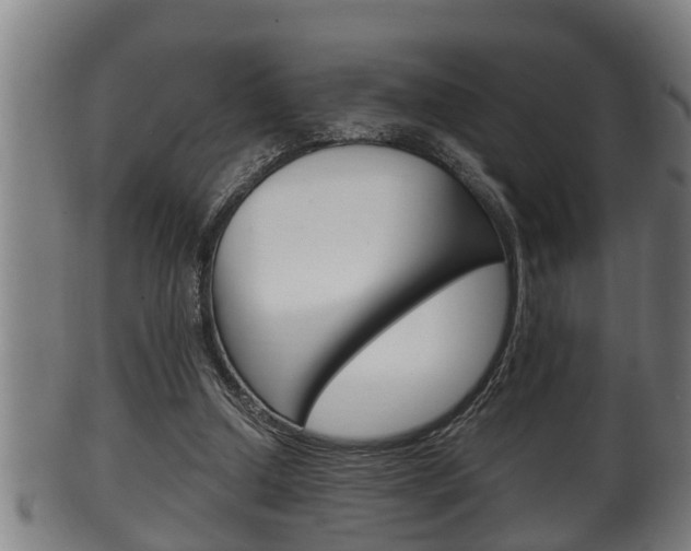 X0000100370250200806060809
