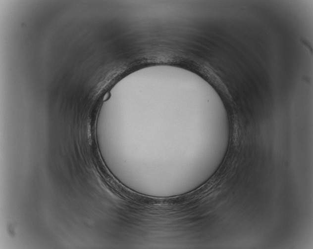 X0000100370251200806060809
