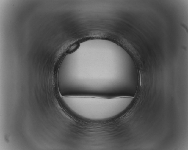 X0000100370252200806060809