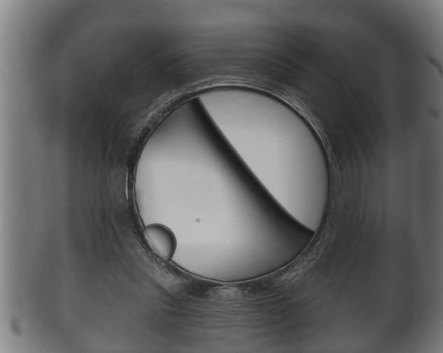 X0000100370253200806060809